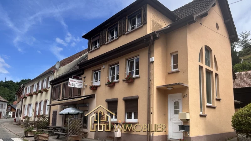 Opportunité rare : commerce rentable + habitation + appartement loué à rombach-le-franc